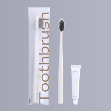 Disposable Toothbrush