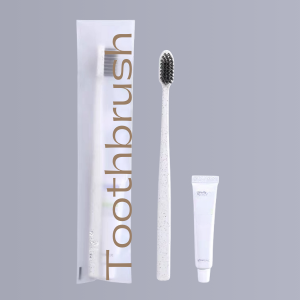 Disposable Toothbrush